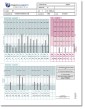 Hair Tissue Analysis (TEI Profile 10) for Canine