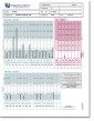 Hair Tissue Analysis (TEI Profile 16) for Equine